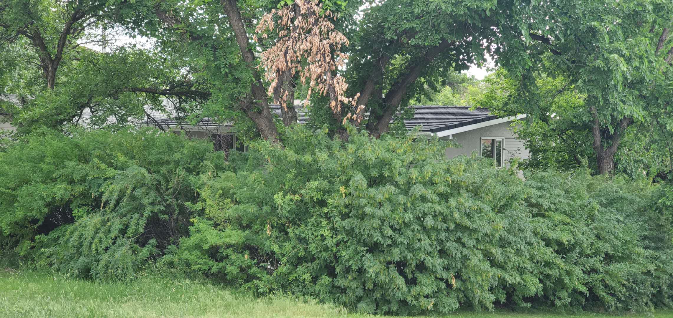 奧美彩石金屬瓦