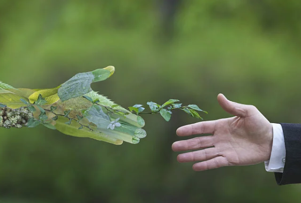 綠色可持續(xù)