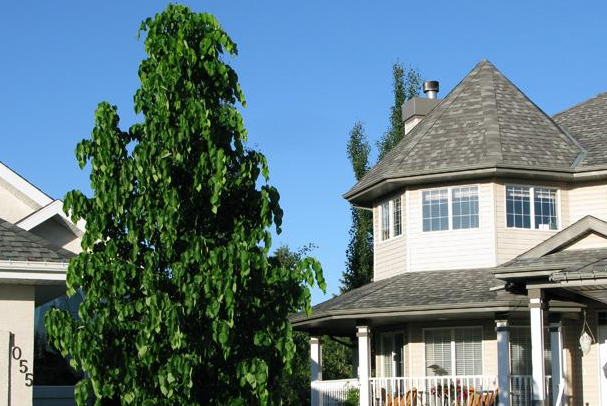 金屬?gòu)?fù)合瓦